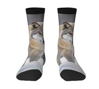 asbwuo Calcetines novedosos, suaves y transpirables, de vestir, con diseño de lobo en la nieve, a media pantorrilla, divertidos y bonitos, para mujer y hombre, regalo