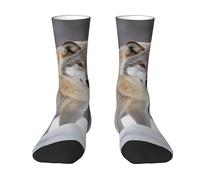 asbwuo Calcetines novedosos, suaves y transpirables, de vestir, con diseño de lobo en la nieve, a media pantorrilla, divertidos y bonitos, para mujer y hombre, regalo