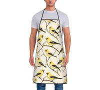asbwuo Delantales de cocina retro americanos amarillos de cocina para hombres y mujeres, bonito delantal de chef divertido para hornear jardinería