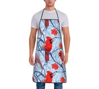 asbwuo Delantales de cocina retro con diseño de pájaros cardenales del norte, para hombres y mujeres, bonito delantal de chef divertido para hornear jardinería