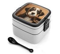 asbwuo Dog Training Bento Box 1000ml Leak Proof Lunch Container with Removable Dividers & Spoon - BPA-Free PP Stackable Lunch Box for Work, Office, Picnic, Travel, Dining Out
