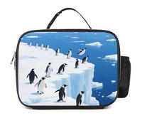 asbwuo Glacier Penguins Insulated Lunch Bag for Women/Men Reusable Lunch Box for Office Work Picnic Beach - Leakproof Cooler Fashion Tote Bag With Handle Freezable Lunchbox