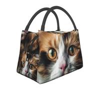 asbwuo Insulated Lunch Bag for Women Men Cats Have Big Eyes Lunch Box for Adult Reusable Lunch Tote Bag for Work Picnic Travel