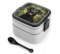 asbwuo Surrounded by Green Splash Circle Bento Box 1000ml Leak Proof Lunch Container with Removable Dividers & Spoon - BPA-Free PP Stackable Lunch Box for Work, Office, Picnic, Travel, Dining Out