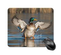 asbwuo Tapis de Souris carré imperméable Avec Motif de canards sauvages en Vol, antidérapant, idéal pour le Bureau, Les Jeux et la Maison.