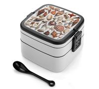 asbwuo Various Shell Images Bento Box 1000ml Leak Proof Lunch Container with Removable Dividers & Spoon - BPA-Free PP Stackable Lunch Box for Work, Office, Picnic, Travel, Dining Out