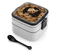 asbwuo Yorkshire Terrier in The Cave Bento Box 1000ml Leak Proof Lunch Container with Removable Dividers & Spoon - BPA-Free PP Stackable Lunch Box for Work, Office, Picnic, Travel, Dining Out