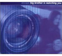 Ascape - Big Brother Is Watching You