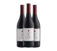 Ascheri San Giacomo Nebbiolo Langhe 75 cl Vino tinto (Caja de 3 Botellas de 75 cl)