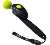ASCO Target Stick ClickStick®, Target Stick con clicker extraíble, diseño telescópico para Perros, Gatos y Caballos, Entrenamiento con clicker, Negro AC01TCS
