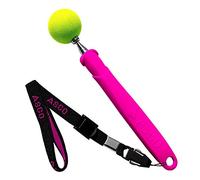 ASCO Target Stick muñequera Extensible para Perros, Gatos, Caballos, Entrenamiento y educación con clickers, de Acero Inoxidable, función telescópica 17 - 73 cm, Rosa AC08TS