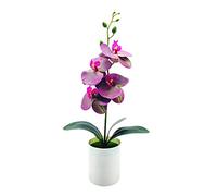 asdchZen Árboles Artificiales En Maceta, Orquídea Falsa, Planta Artificial, Excelente Bonsái Artificial Resistente A Los Rayos UV, para Exterior E Interior, para Balcón, Pino Simulado, C