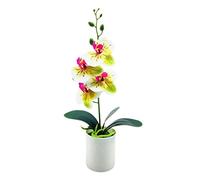 asdchZen Árboles Artificiales En Maceta, Orquídea Falsa, Planta Artificial, Excelente Resistencia A Los Rayos UV, Bonsái Artificial para Exterior E Interior, para Balcón, Pino Simulado, D