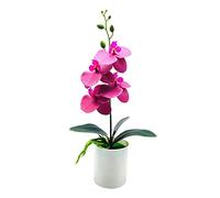 asdchZen Árboles Artificiales En Maceta, Orquídea Falsa, Planta Artificial, Excelente Resistencia A Los Rayos UV, Bonsái Artificial para Exterior E Interior, para Balcón, Pino Artificial, Dorado