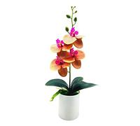 asdchZen Árboles Artificiales En Maceta, Orquídea Falsa, Planta Artificial, Excelente Resistencia A Los Rayos UV, Bonsái Artificial para Exterior E Interior, para Balcón, Pino Artificial, Gris