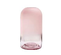 asdchZen Jarrón De Cristal Nórdico: Un Elegante Detalle Floral para Espacios Interiores.