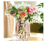 asdchZen Jarrón De Flores Nórdico Simple Grande De Vidrio Transparente Color Hidropónico Rico Bambú Lirio Rosa Sala De Estar Arreglo Floral Adornos Nuevo Jarrón, S