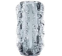 asdchZen Jarrón De Vidrio para Decoración De Flores, Moderno Y Minimalista, para Sala De Estar, con Combinación Floral, para El Hogar, Multifuncional, Transparente, 17 X 17 X 30 Cm