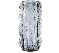 asdchZen Jarrón De Vidrio para Decoración De Flores, Moderno Y Minimalista, para Sala De Estar, con Combinación Floral, para El Hogar, Multifuncional, Transparente, 19 X 19 X 36 Cm