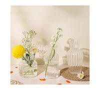 asdchZen Jarrón Florero Florero Pequeño Florero De Cristal Florero Transparente Decoración De Mesa Sala Cocina Mesa De Té Florero Arreglo Floral Cultura del Agua Hermoso Conjunto De Flores Jarrón