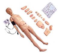 asdchZen Maniquí De Atención Al Paciente De Tamaño Real De 1,7 M, Modelo De Entrenamiento De Cuerpo Completo con Medición De Presión Arterial En El Brazo para Estudiantes, Educación Y Enseñanza.