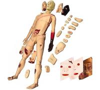 asdchZen Maniquí De Demostración De Primeros Auxilios para Pacientes, Simulador De Enfermería De Cuerpo Completo, Modelo Anatómico Humano para Formación Médica Y Docente De Enfermería, 160 Cm