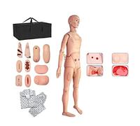 asdchZen Maniquí De Enfermería De PVC De 170 Cm con Funciones Básicas Y Cuidado De Heridas. Formación Práctica De Enfermería. Formación Clínica De Emergencia Y Rutina para Enfermeras.