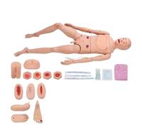 asdchZen Maniquí De Tamaño Real para Atención Al Paciente, Modelo De Demostración Educativa, Intercambio Genital, para Formación Médica De Enfermería, Masculino