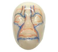 asdchZen Modelo De Entrenamiento En Micropigmentación Facial - Modelo De Entrenamiento para Eliminación De Arrugas - para Estudiantes De Medicina, Color Carne, 30 Cm