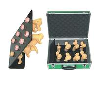 asdchZen Modelo De Útero Y Ovario Humano De 8 Piezas, Modelo De Maniquí Didáctico, Modelo Avanzado De Patología Cervical Uterina para Práctica Médica, Herramienta De Entrenamiento, B