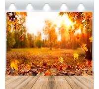 ASDCXZ Telón de Fondo de Otoño 2.5x1.8m, Ojas de Arce Caducifolias Paisaje Natural Otoño Bosque Tema Fondo de Fotografía para Acción de Gracias Fiesta Decoración Banner Estudio Accesorios
