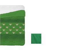 ASDITEX Real Betis Balompié Edredón Sherpa produtco Oficial de Algodón, (200 x 240 cm, Verde con Blanco Cama 105)