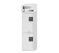Asecos SLX-Classic Armario con filtro de aire con divisor central horizontal, bisagra para puerta izquierda y cierre de cilindro de perfil, color gris claro, 600 mm de ancho, 615 mm de profundidad