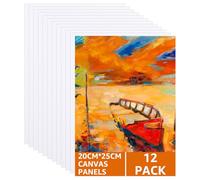 ASelected 12 lienzos estirados de 25 x 20 cm para pintar, lienzo enmarcado para pintar, 100% algodón, libre de ácidos, lienzos profesionales para acrílico al óleo, gouache acuarela (blanco)
