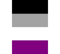 Asexual Pride Flag Notebook: Ace, LGBTQ+ | 120 Lined Pages, 6"x9" Gloss Finish