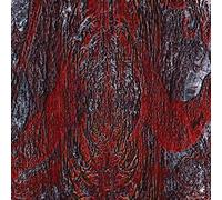 Asfast - The Prime Same [Vinilo]