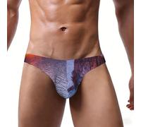 ASFgda Calzoncillos de bikini con estampado de paisaje marino de Irlanda, ropa interior elástica de talle bajo para hombre con bolsa de contorno, suave y transpirable para uso diario, Negro, M