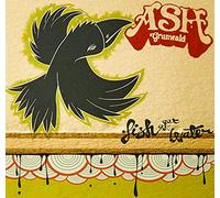 Ash Grunwald - Fish Out Of Water