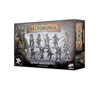 Ash Waste Nomads War Party