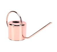 ASHATA Elegante Regadera de Acero Inoxidable Plantas de Jardín y de Interior con Pico Largo de 40 Oz (#1)