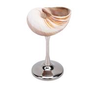 ASHATA Exquisita Copa de Vino de Concha, Elegante Vaso de Cóctel para Celebraciones, Cumpleaños, Fiestas de Aniversario, Natural, 1 Pieza (A)