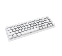 ASHATA Teclado de Juego con Cable, 68 Teclas RGB Teclado de Juego Retroiluminado con Luz de Fondo LED Colorido 68 Keys Diseño de Diseño Ergonómico Tipo C para Computadora (Interruptor Azul de Color