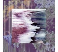 We Came Here To Grieve [Vinilo]