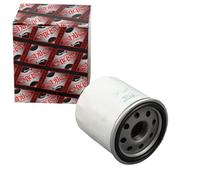Ashika 10-00-018 Bloque de Motor