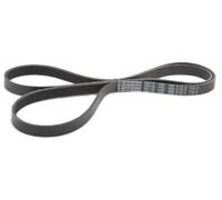 Ashika 112-5PK1730 Correa trapecial poli V