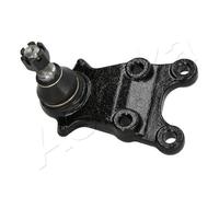 ASHIKA 73-09-911 Rótula de suspensión