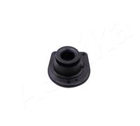 ASHIKA Camber Puntal Cojinetes Frontal Derecho para Fiat Doblo Cargo 223 119