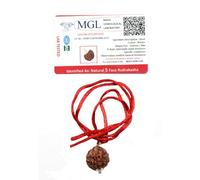 ASHIRWAD Rosario original nepalí certificado Rudraksha Mala, natural del Himalaya, collar tibetano para llevar y Japa Mala 5 Mukhi Mala, 108 cuentas Mala, 6mm-10mm, Rudraksha, No es una piedra