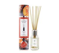 Ashleigh & Burwood Pumpkin Spice - Difusor de especias (50 ml)