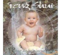 Mel Ashton - Feng Shui Voor De Babykam